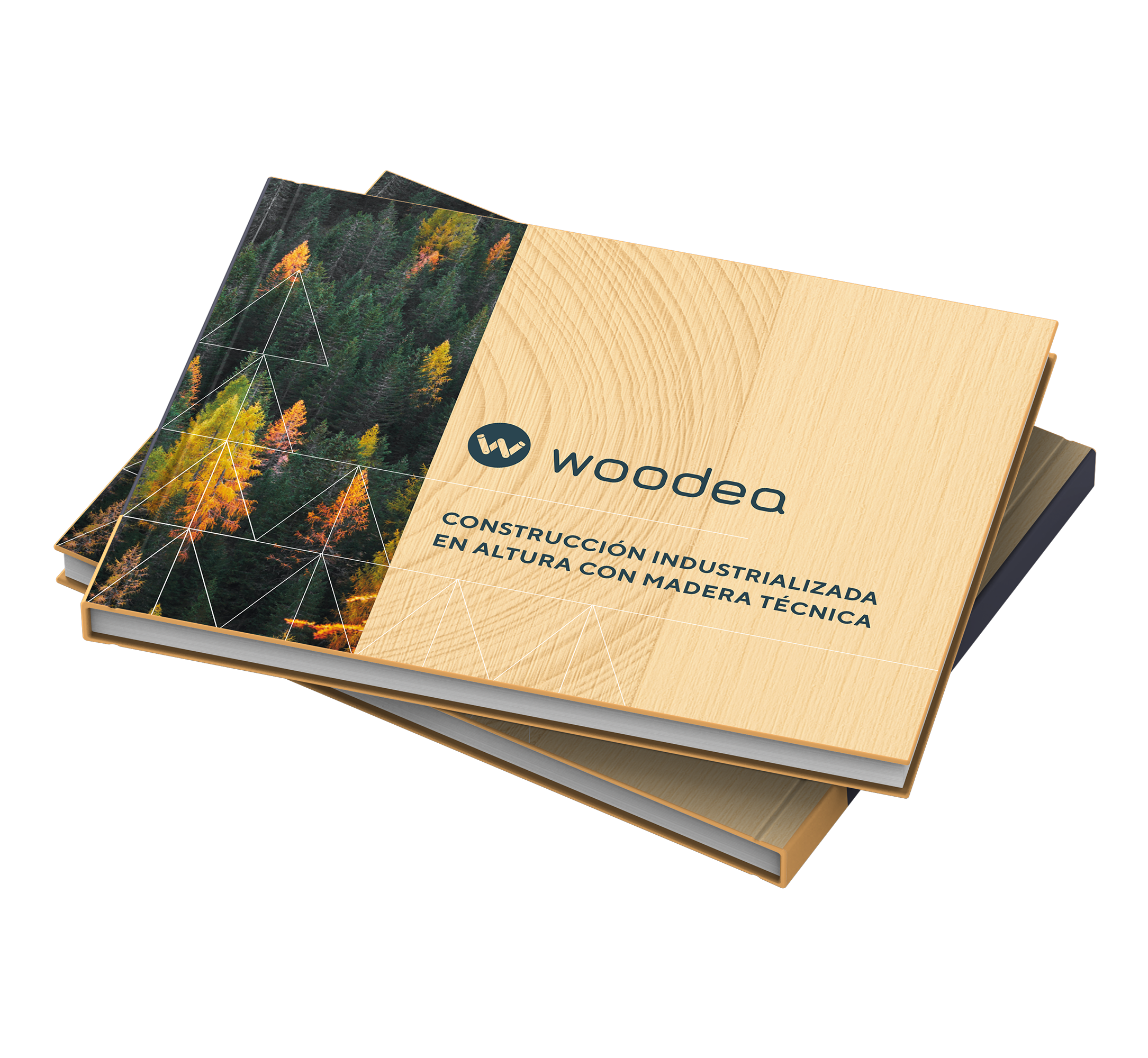 woodea-landing-informe-2
